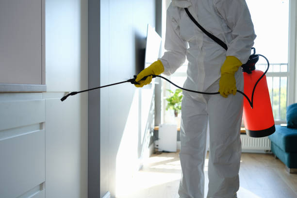 Best Mold Remediation Experts  in Elberton, GA