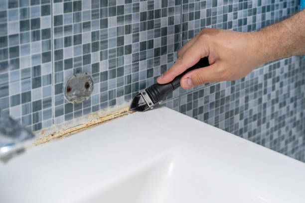Mold Removal Process in Elberton, GA